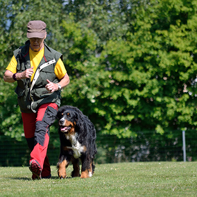 Teamwork hund Mensch -Individuelles Hundetraining und mehr...